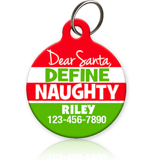 Dear Santa Define Naughty Pet ID Tag