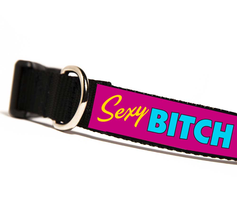 Sexy Bitch Dog Collar