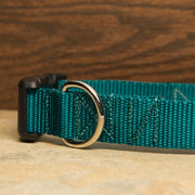 Teal Dog Collar