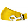 Yellow Dog Leash