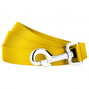 Yellow Dog Leash