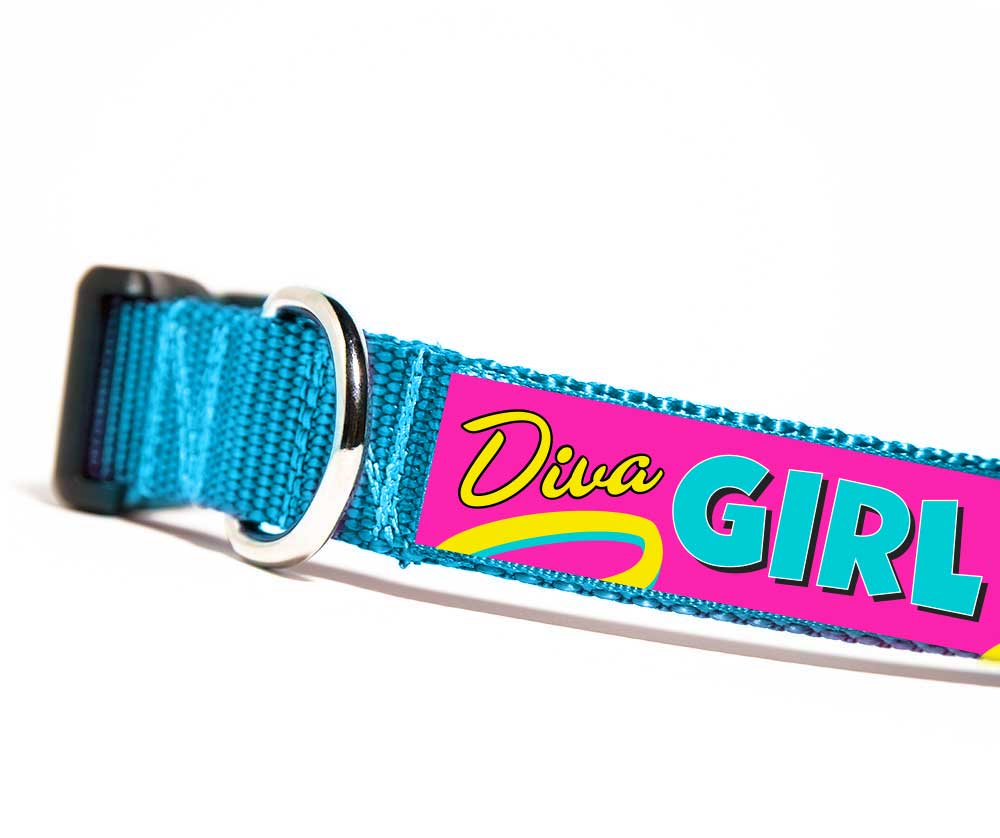 Diva Girl Dog Collar