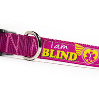 I Am Blind Dog Collar