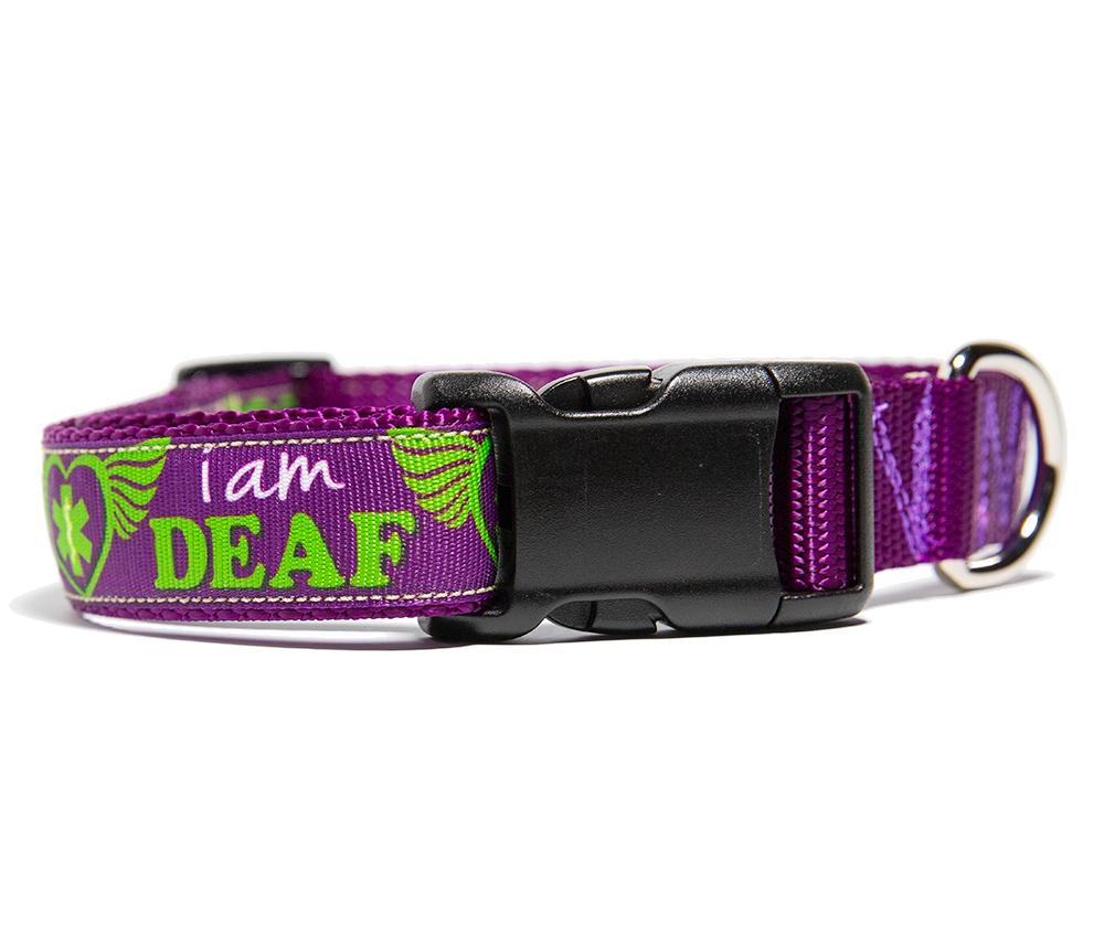 Deaf dog accessories hot sale