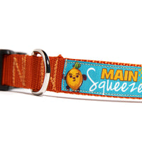 MAIN SQUEEZE Dog Collar