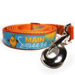 Main Squeeze Dog Leash