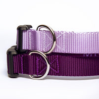 Purple Dog Collar