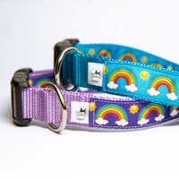 Rainbow Dog Collar