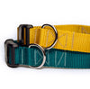 Yellow or Teal Dog Collar