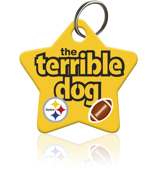 Pittsburgh Steelers, NFL Football Dog & Cat ID Tag, Large, Quick-Tag