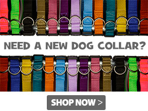 dog collars