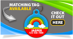 rainbow-pet-id-tag